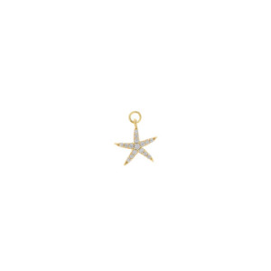 CHARM PLATA CHAPADO DORADO ESTRELLA DE M