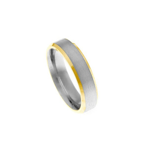 Alianza de Boda Salvatore Plata de 5 mm con Cuerpo Mate y Bordes de Oro Amarillo