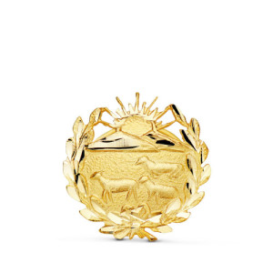 Insignia Veterinaria en Oro Amarillo 18k